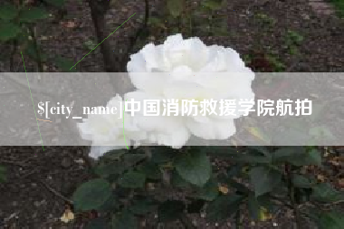 邓州中国消防救援学院航拍