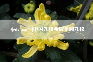 邓州中国九枚金牌是哪九枚