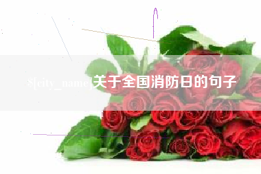 邓州关于全国消防日的句子