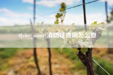 邓州消防证查询怎么查