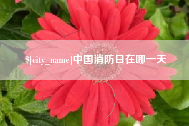 邓州中国消防日在哪一天