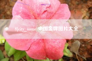 邓州中国金牌图片大全
