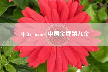 邓州中国金牌第九金
