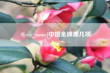 邓州中国金牌哪几项