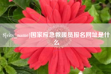 邓州国家应急救援员报名网址是什么