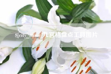 邓州九宫格盘点工具图片