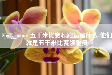 邓州五千米比赛领跑员是什么-他们就是五千米比赛领跑员