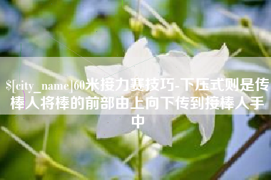 邓州60米接力赛技巧-下压式则是传棒人将棒的前部由上向下传到接棒人手中
