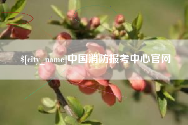 邓州中国消防报考中心官网