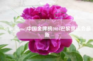 邓州中国金牌榜2024巴黎奥运会最新