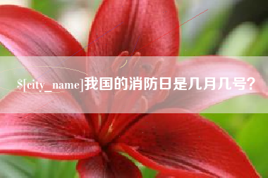 邓州我国的消防日是几月几号？
