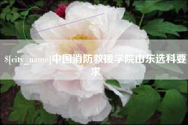 邓州中国消防救援学院山东选科要求