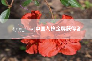邓州中国九枚金牌获得者