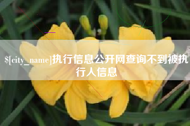 邓州执行信息公开网查询不到被执行人信息