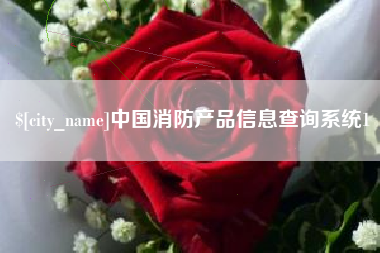 邓州中国消防产品信息查询系统1