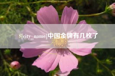邓州中国金牌有几枚了