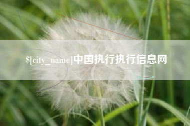 邓州中国执行执行信息网