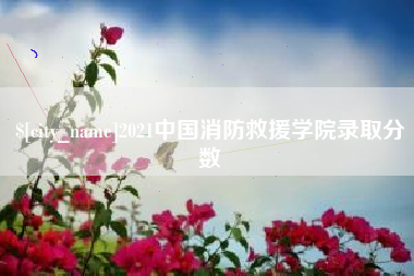 邓州2021中国消防救援学院录取分数