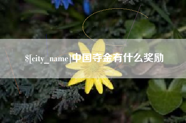 邓州中国夺金有什么奖励