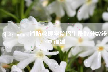 邓州消防救援学院招生录取分数线2020福建
