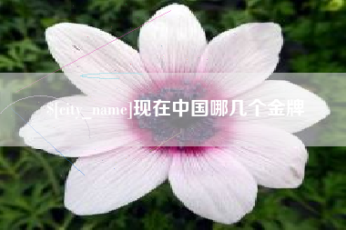 邓州现在中国哪几个金牌