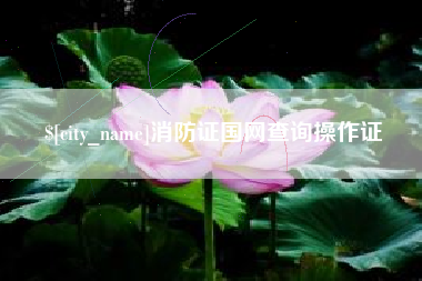 邓州消防证国网查询操作证