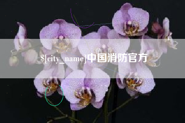 邓州中国消防官方