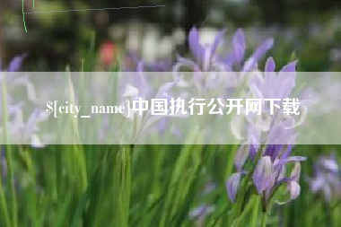 邓州中国执行公开网下载