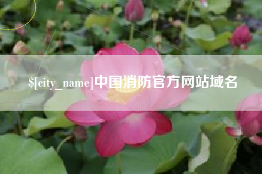 邓州中国消防官方网站域名