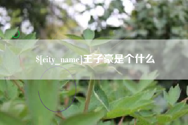 邓州王子豪是个什么