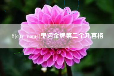 邓州奥运金牌第二个九宫格