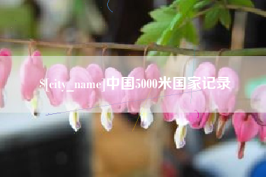 邓州中国5000米国家记录