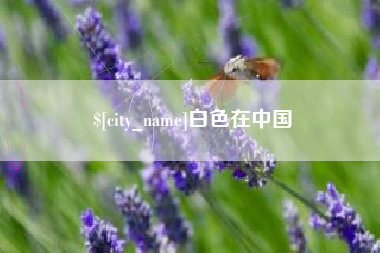 邓州白色在中国