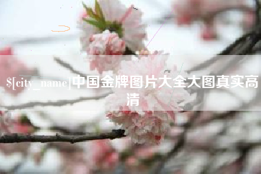 邓州中国金牌图片大全大图真实高清