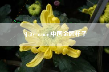 邓州中国金牌样子