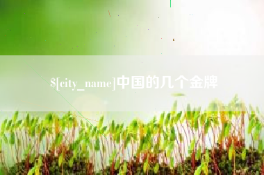 邓州中国的几个金牌