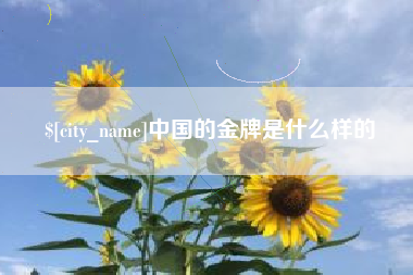 邓州中国的金牌是什么样的