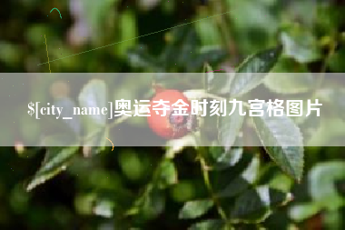 邓州奥运夺金时刻九宫格图片