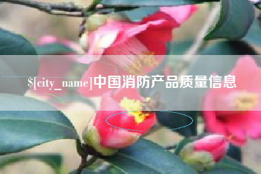 邓州中国消防产品质量信息