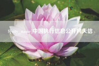 邓州中国执行信息公开网失信