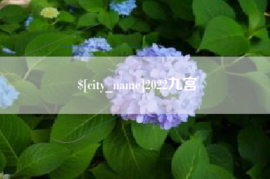 邓州2022九宫