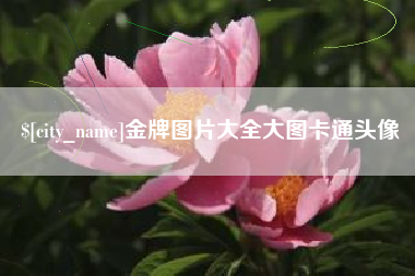 邓州金牌图片大全大图卡通头像