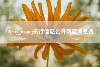 邓州执行信息公开网查询免费