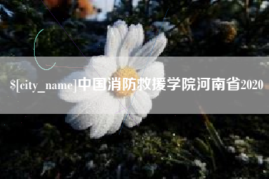邓州中国消防救援学院河南省2020